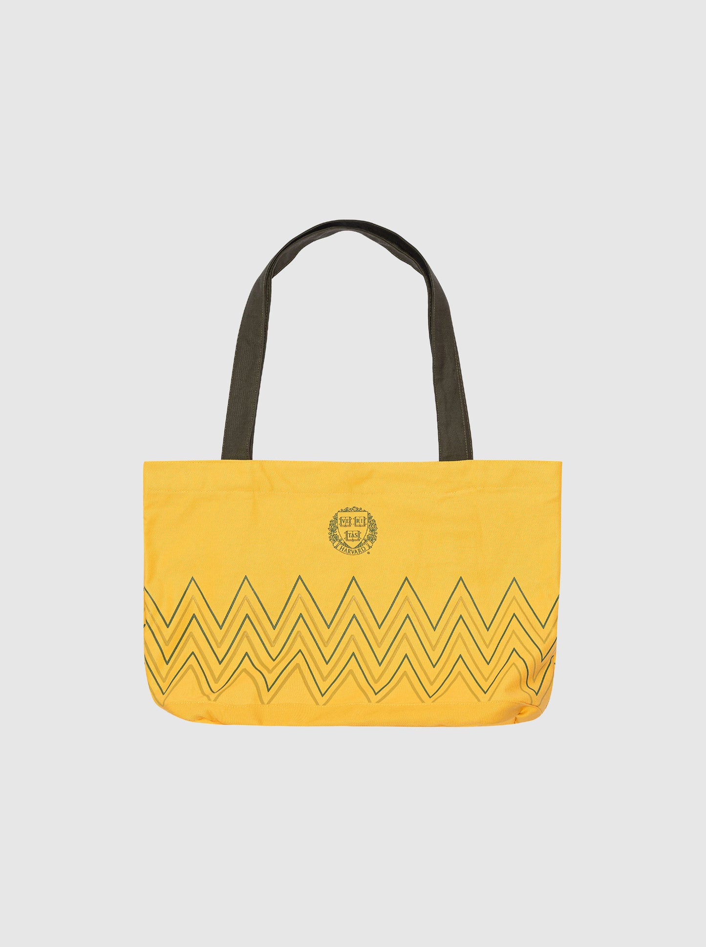 Savana HV Tote Bag